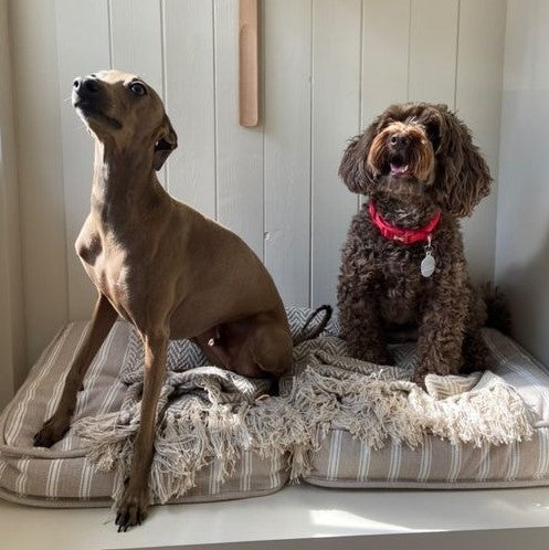 Throws and blankets to style around the home.