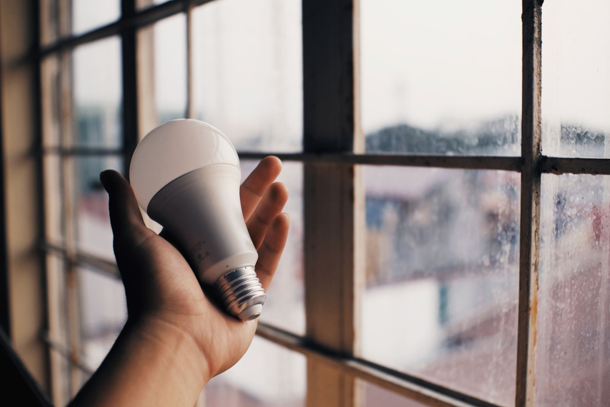 Person holding electric light bulb near window