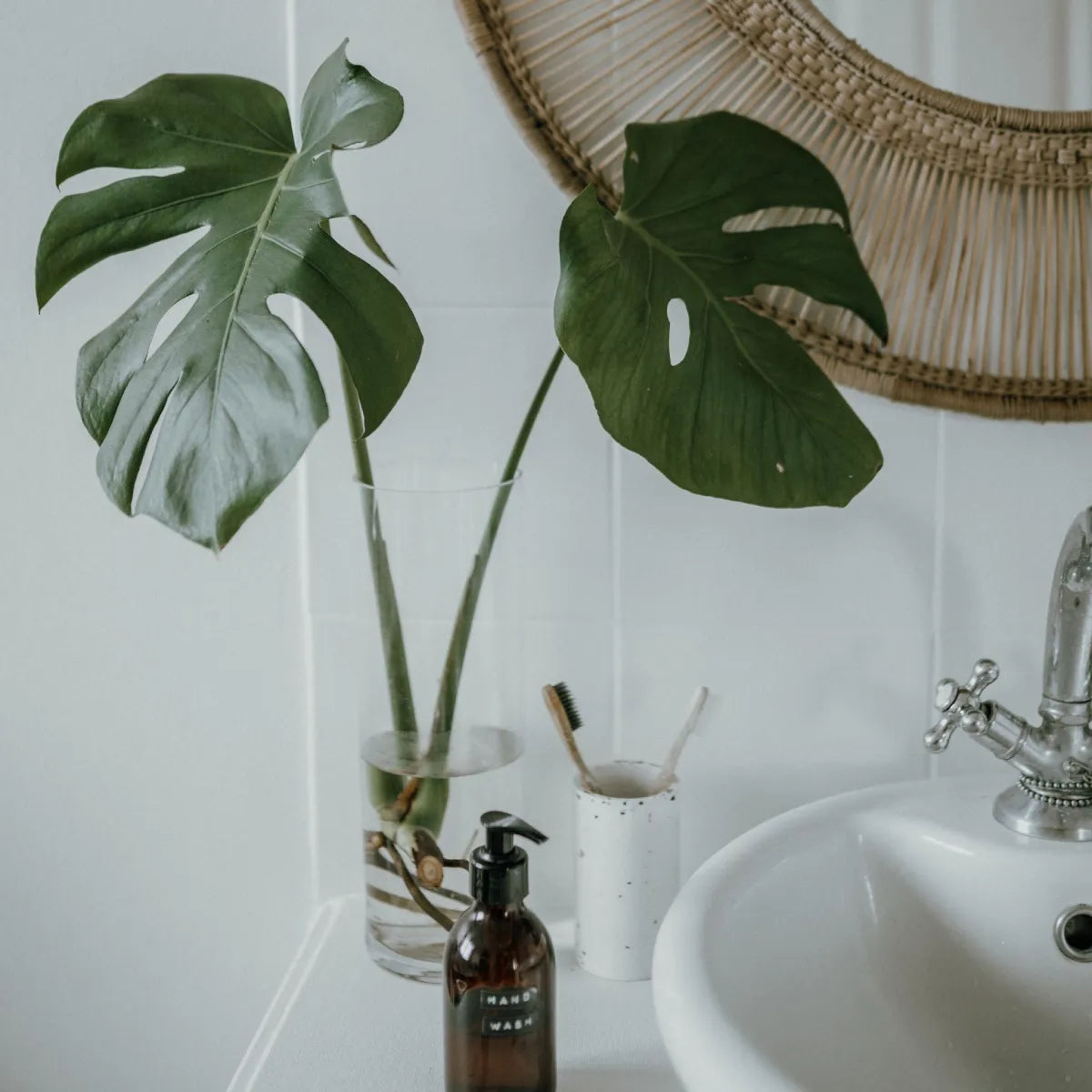 A guide to keeping plants in your bathroom