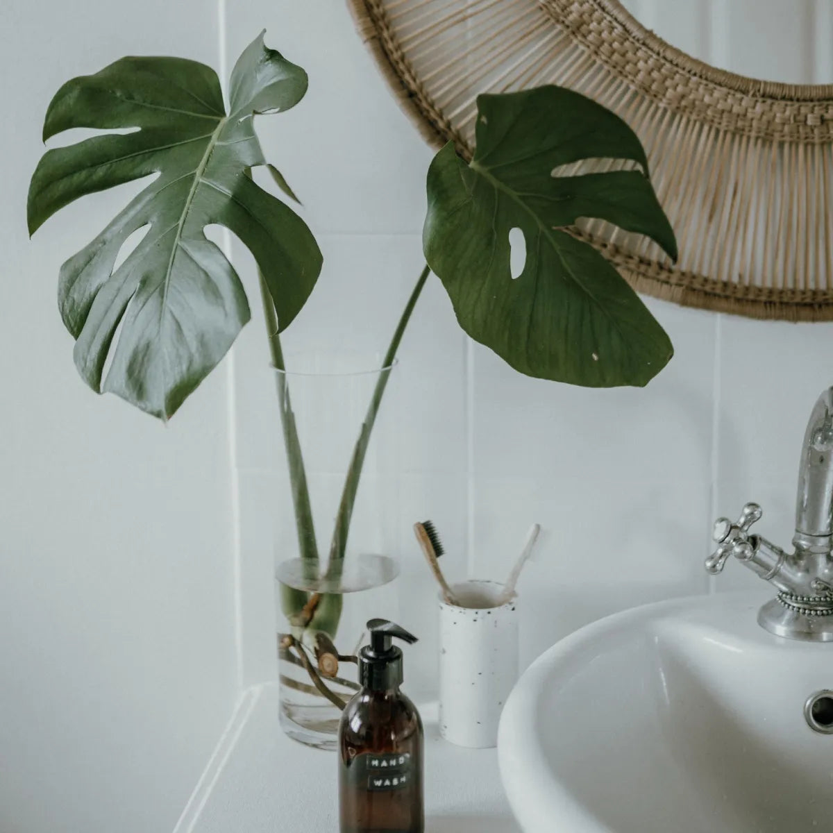 Bathroom Friendly Plants.